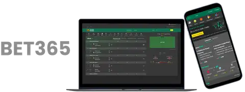 欢腾春节,人流如织,佳节魅力绽,开云体育官网,KaiYun,SPORTS,开云体育中国官网,KaiYun体育平台,开云体育服务