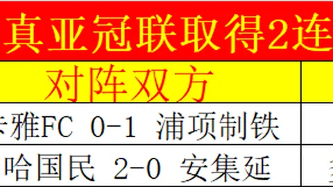 “1700万镑投资回报丰厚，扎卡领跑英超夏季转会引援最佳之争！”