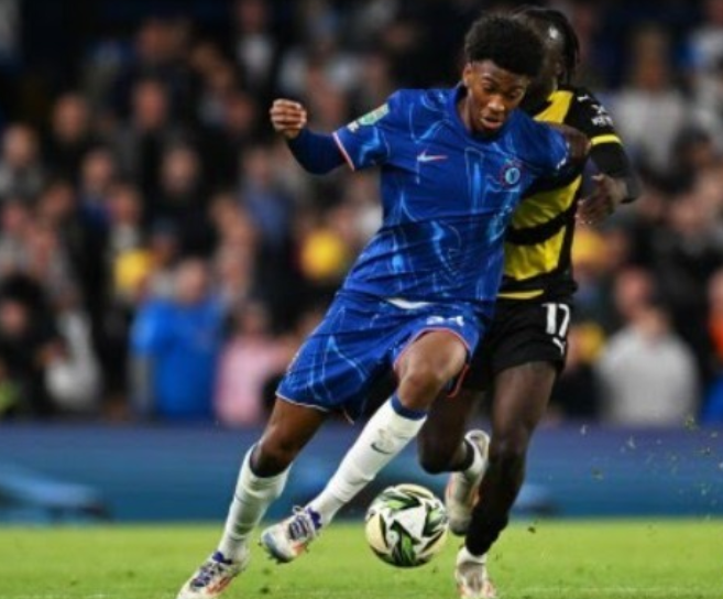 吸引了许多 吸引了许多